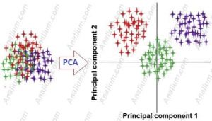 تجزیه مولفه های اصلی -principal component analysis- تشخیص الگو- آنالیز و آمار-آنالیوم